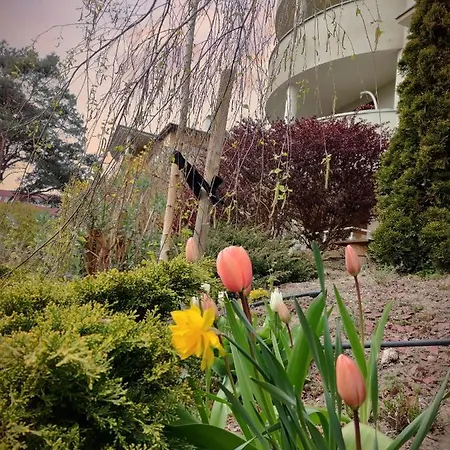 Komfortowy Dwupokojowy Z Tarasem I Garaz