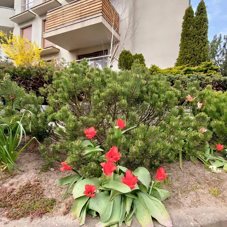 Komfortowy Dwupokojowy Z Tarasem I Garaz アパート *