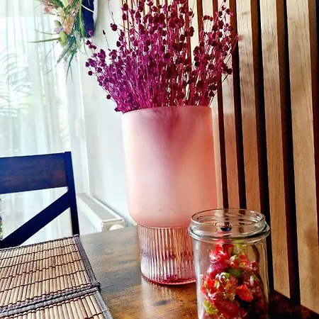 Komfortowy Dwupokojowy Z Tarasem I Garaz * Ustka