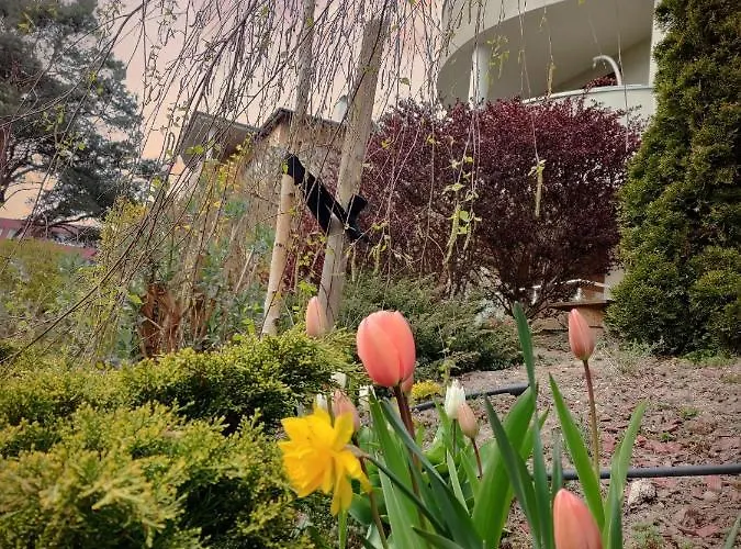 Komfortowy Dwupokojowy Z Tarasem I Garaz