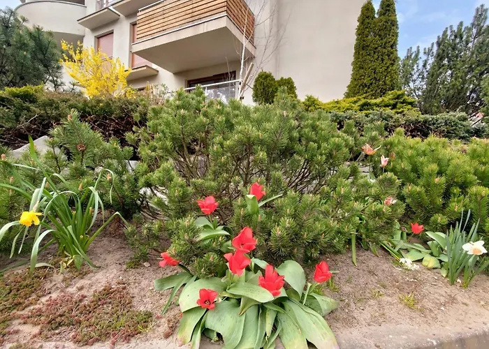 Komfortowy Dwupokojowy Z Tarasem I Garaz Apartman *