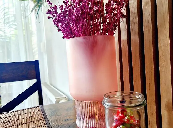 Komfortowy Dwupokojowy Z Tarasem I Garaz * Ustka